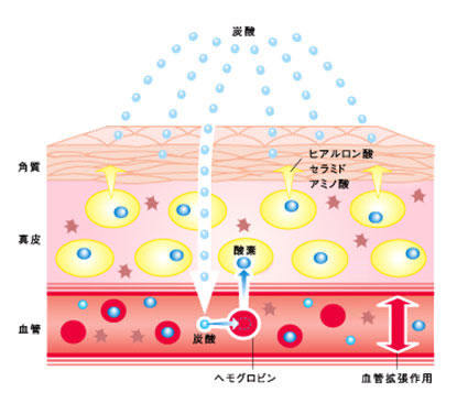 炭酸ガス療法のメカニズム